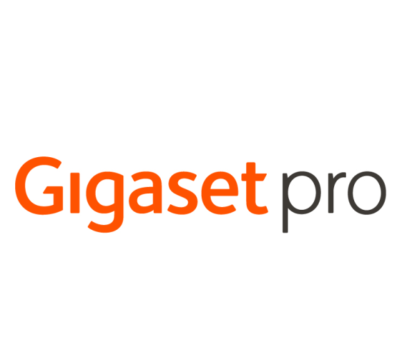 Gigaset EHS Adapter