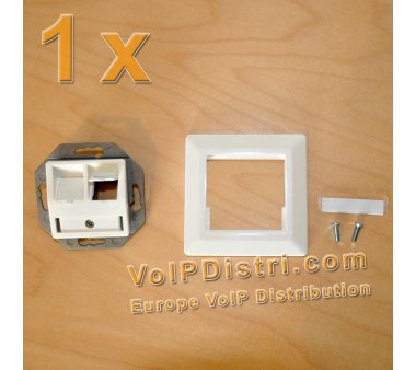 Gigabit CAT.6a network socket (2-fold aperture + 2...