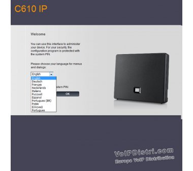 Gigaset C610 IP VoIP schnurlos DECT Telefon für Analog Festnetzanschluss und VoIP
