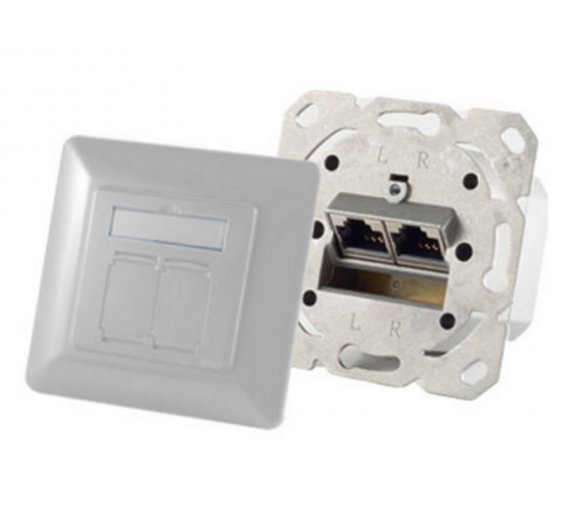 Gigabit network socket flush-mounted 2-fold, cat.6A network socket 2-fold designable, pearl-white