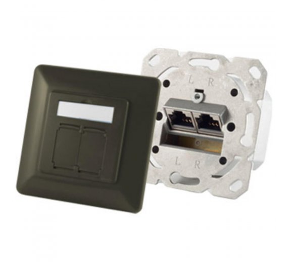 Gigabit network socket flush-mounted 2-fold, cat.6A network socket 2-fold designable, anthracite