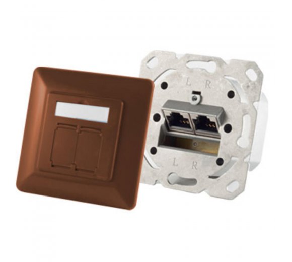Gigabit network socket flush-mounted 2-fold, cat.6A network socket 2-fold designable, brown