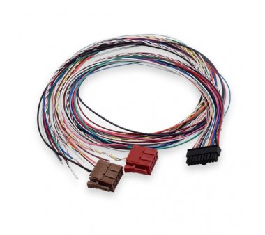 Teltonika Tacho cable (All 20 wires)