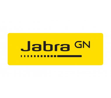 Jabra BIZ 2300 Duo Noise Cancelling...