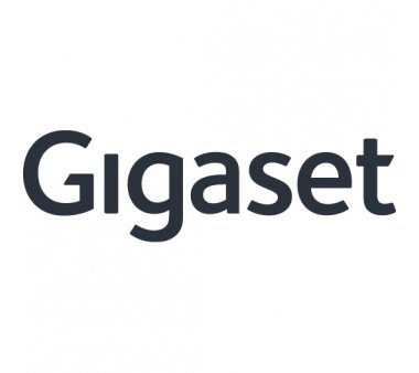 Gigaset C610 base station (IP+Analog DECT)