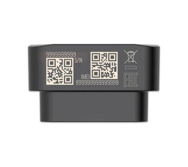 Teltonika FMB020 GPS Tracker für 2G (GNSS, GSM, Bluetooth und Daten zur Crash-Erkennung)