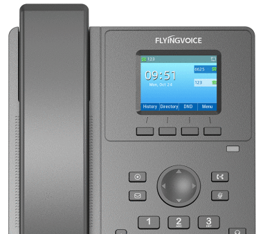 Flyingvoice P11P IP-Telefon für Einsteiger mit...